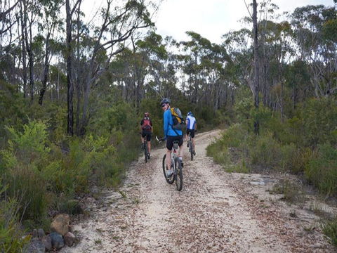 Ingar Campground - Accommodation Mt Buller 0
