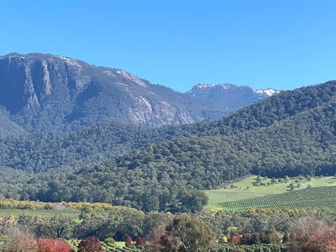 Mad On The Buckland - Accommodation Mt Buller 0