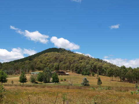 Mad On The Buckland - Accommodation Mt Buller 1
