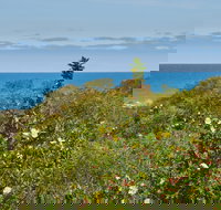 Preston Beach Front Apartment