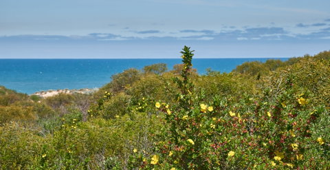 Preston Beach Front Apartment - Accommodation Mt Buller 0