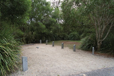 Springbrook National Park Camping - Accommodation Mt Buller 0