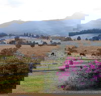 The Barn  House Farm Stay at Possum Manor - Accommodation Mt Buller