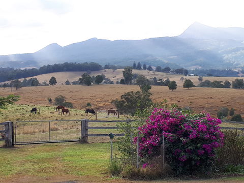 The Barn  House Farm Stay At Possum Manor - Accommodation Mt Buller 0