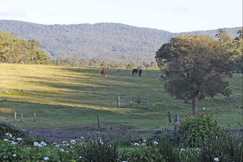 Wallaby Cottage - Accommodation Mt Buller 0