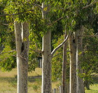 Stringybark Cottages - Accommodation Mt Buller