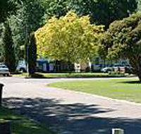 Mitchell Gardens Holiday Park - Accommodation Mt Buller