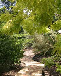 Eagle Hammer Cottages - Accommodation Mt Buller 0