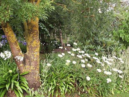 Springbank Bed And Breakfast - Accommodation Mt Buller 0
