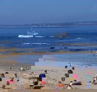 QueenscliffeTourist Park - Accommodation Mt Buller