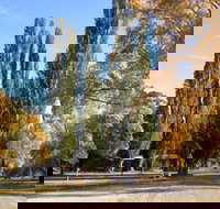 Omeo Caravan Park - Accommodation Mt Buller