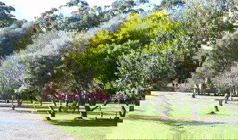 Otways Tourist Park - Accommodation Mt Buller 0
