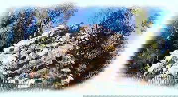 Otways Tourist Park - Accommodation Mt Buller 3