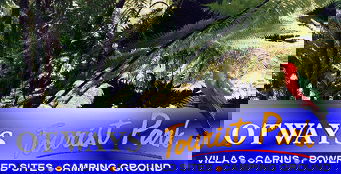 Otways Tourist Park - Accommodation Mt Buller 4