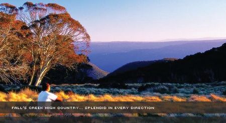 Alpine View Apartments - Accommodation Mt Buller 1