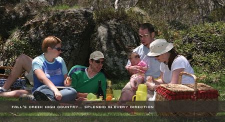 Alpine View Apartments - Accommodation Mt Buller 2