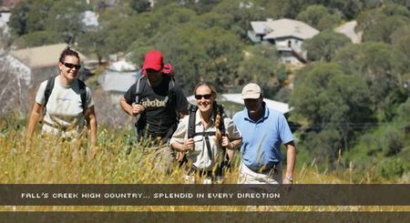 Alpine View Apartments - Accommodation Mt Buller 3