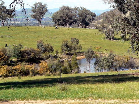 Gaddleen Grove Cottages - Accommodation Mt Buller 3