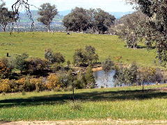 Gaddleen Grove Cottages - Accommodation Mt Buller 5