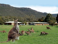 Halls Gap Log Cabins - Accommodation Mt Buller 2
