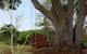 Tropical Coast Retreat - thumb 2