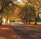 La Trobe at Beechworth - Accommodation Mt Buller