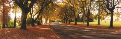 La Trobe At Beechworth - Accommodation Mt Buller 0