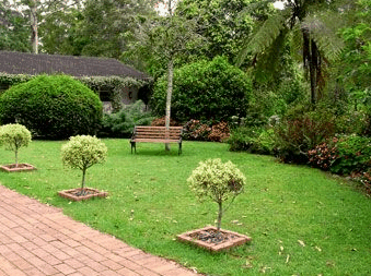 Tall Trees Motel - Accommodation Mt buller 2