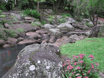 Tall Trees Motel - thumb 3