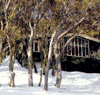 Neringa Ski Club - Accommodation Mt Buller