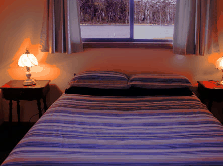 Lake Yalleena Cabins - Accommodation Mt Buller