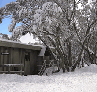 Mulligatawny Ski Club - Accommodation Mt Buller