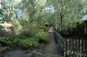 Evedon Park Bush Resort - Accommodation Mt Buller 2