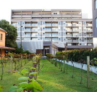 Honeysuckle Executive Apartments - Accommodation Mt Buller