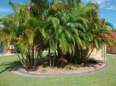 Yamba Motor Inn - Accommodation Mt buller 5