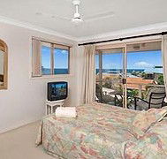 Allez Pacific Rose - Accommodation Mt Buller