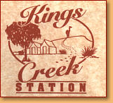 Kings Creek Station - Accommodation Mt Buller 0