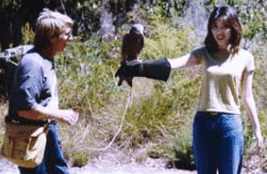Eagles Heritage Raptor Wildlife Centre - Accommodation Mt Buller 2