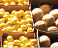Brisbane Markets - Accommodation Mt Buller