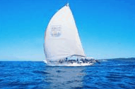 Manly Harbour Village - Accommodation Mt Buller