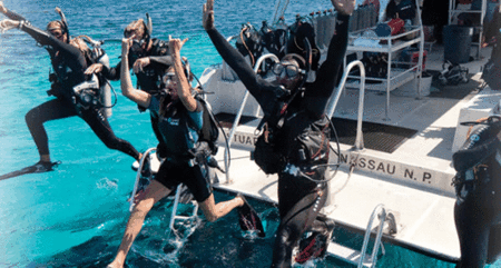 Snorkel Safari Brisbane - Accommodation Mt Buller