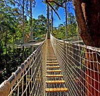 Thunderbird Park - Accommodation Mt Buller