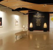 Counihan Gallery In Brunswick - Accommodation Mt Buller