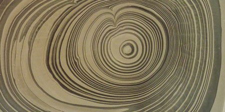 The Gallery At Bayside Arts & Cultural Centre - Accommodation Mt Buller 2