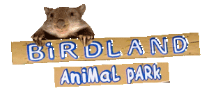 Birdland Animal Park - Accommodation Mt Buller