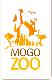 Mogo Zoo - Accommodation Mt Buller