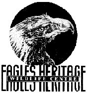 Eagles Heritage - Accommodation Mt Buller