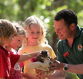 Cleland Wildlife Park - Accommodation Mt Buller