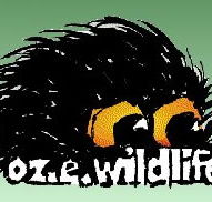OZe Wildlife - Accommodation Mt Buller