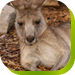  Accommodation Mt Buller